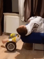 居家能有多懒gif搞笑图片