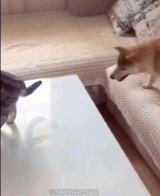 高估了自己的腿长gif搞笑图片