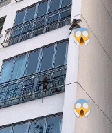 见识下猴哥的本事gif搞笑图片