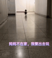 妈妈不在家 出去玩咯-搞笑gif动态图片-izike