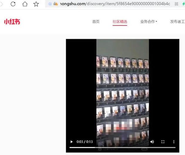 小红书平台上用户上传的刷量宣传视频。截图