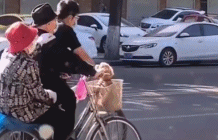 不想走我就推你gif搞笑图片