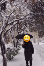 不要跟树过不去gif搞笑图片