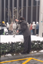 给树枝戴帽子的爷爷gif搞笑图片