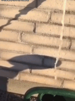 为啥就喝不到呢gif搞笑图片