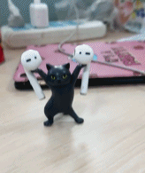 妖娆猫万物皆可托gif搞笑图片