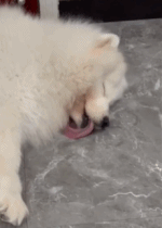 一看就知道做了个好梦gif搞笑图片