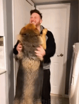 养大狗的快乐gif搞笑图片