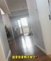 会漂移的鸭子gif搞笑图片