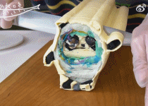 冰墩墩切片饼干来了gif搞笑图片