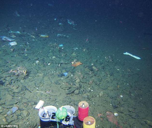 这片海底看起来就像垃圾填埋场，但实际上是日本近海的海底，水深为581米。