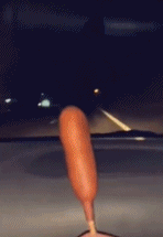 哪去了？-搞笑gif动态图片-izike