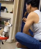 就知道你馋gif搞笑图片