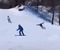 全场最自由的崽gif搞笑图片