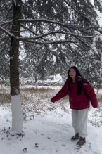 妄想与树对抗gif搞笑图片