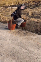 打水打了个寂寞gif搞笑图片