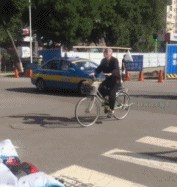 真高手在民间gif搞笑图片