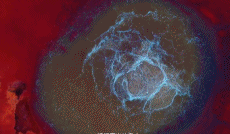 被称恶魔之眼的艾肯泉gif搞笑图片