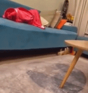 看我倒立爬行gif搞笑图片