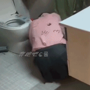 喝醉酒的女生栽在了同一个厕所-美女动态图片-gif动态图-izike
