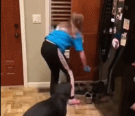 是狗狗拒绝的东西gif搞笑图片