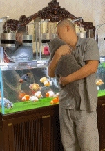 隔壁肥猫都馋哭了gif搞笑图片