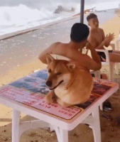 海浪袭击来啦gif搞笑图片