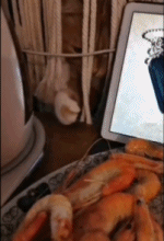 偷菜要悄悄进行gif搞笑图片