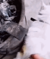 宝啊这可不兴贴啊gif搞笑图片