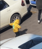 张开手臂就能飞起来gif搞笑图片