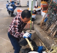 甘蔗工人足够高效的产能-搞笑gif动态图片-izike