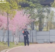可爱的保安大哥樱花树下跳舞-搞笑gif动态图片-izike