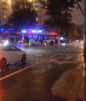 大雨中难兄难弟掉入水坑-搞笑gif动态图片-izike