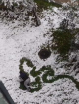 大雪后的滚雪球画作-搞笑gif动态图片 - izike-izike