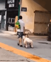 是真的不想走路gif搞笑图片