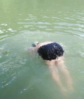 进行一个鲤鱼打挺gif搞笑图片