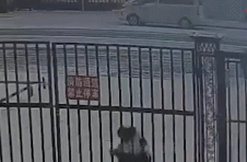 门：就是要卡你gif搞笑图片