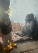 完美诠释什么叫敷衍gif搞笑图片