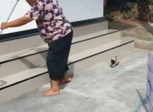 带你坐小船滑行gif搞笑图片