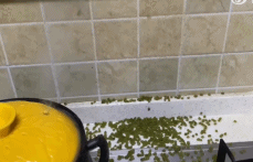 这还有自动吐皮的功能gif搞笑图片