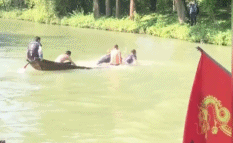 无法拯救一条沉船gif搞笑图片