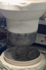 鬼知道我究竟看了多少遍gif搞笑图片