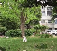 没落稳得超级英雄gif搞笑图片