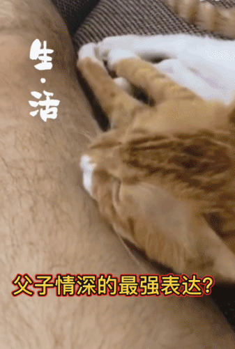 爱的报恩-搞笑gif动态图片-izike