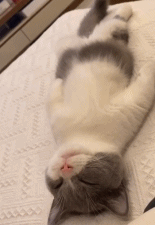 表演个脚趾开花gif搞笑图片