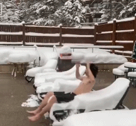 冬日度假法则gif搞笑图片