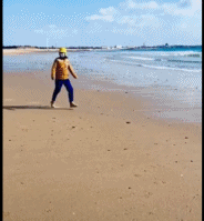 狗遛狗都知道栓绳gif搞笑图片