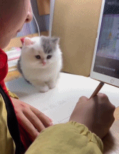 看孩子的好手gif搞笑图片