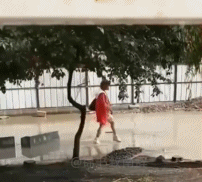 从哪一刻开始想摆烂gif搞笑图片