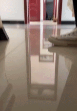 放假在家能有多闲gif搞笑图片